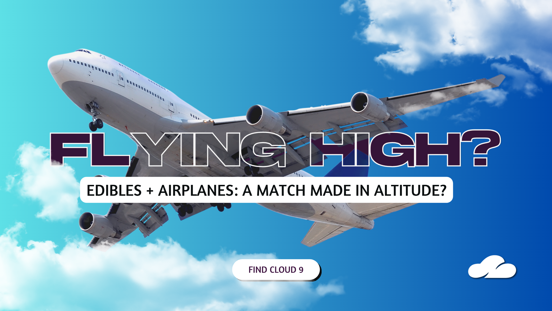 Flying High Header